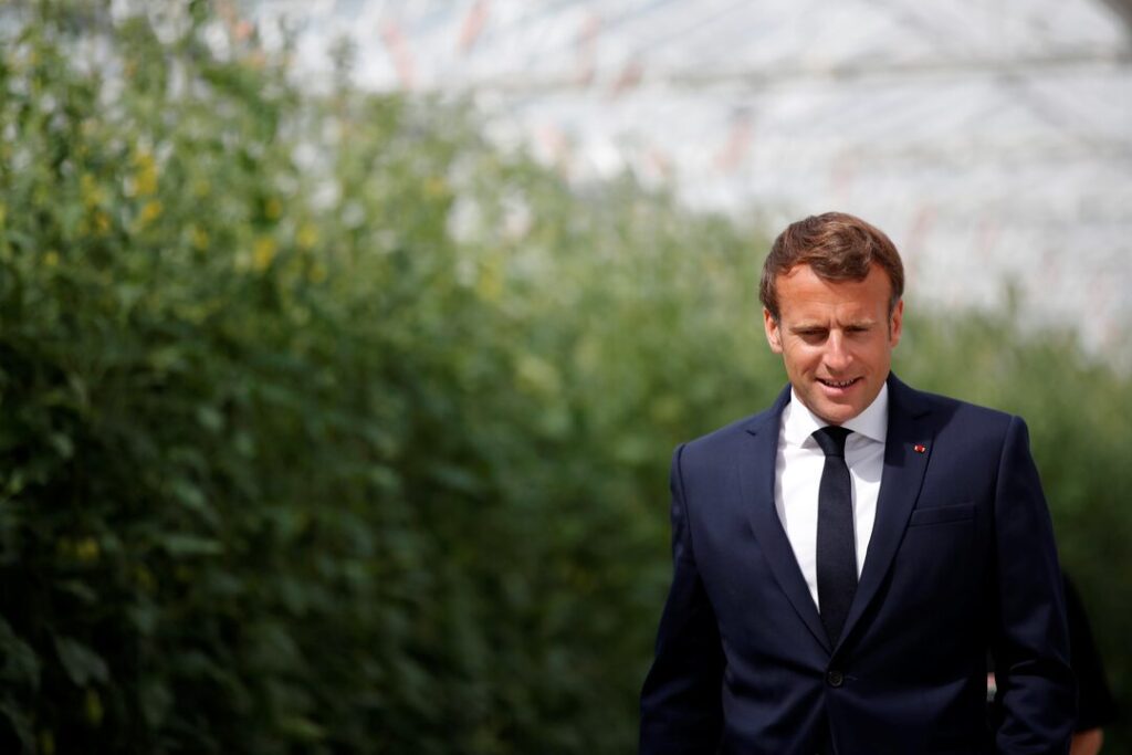 FILE PHOTO: French President Emmanuel Macron walks in a greenhouse for tomatoes as he visits the Roue farm in Cleder during a day trip centered on agriculture amid the coronavirus disease (COVID-19) outbreak in Brittany, France, April 22, 2020. REUTERS/Stephane Mahe/Pool FILE PHOTO: French President Emmanuel Macron walks in a greenhouse for tomatoes as he visits the Roue farm in Cleder during a day trip centered on agriculture amid the coronavirus disease (COVID-19) outbreak in Brittany, France, April 22, 2020. REUTERS/Stephane Mahe/Pool